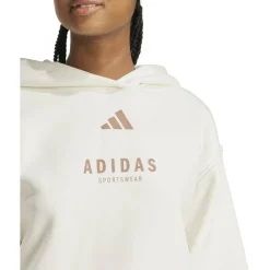 ALL SZN Loose Graphic Damen Kapuzensweater