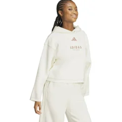 ALL SZN Loose Graphic Damen Kapuzensweater