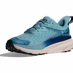Challenger 7 GTX Damen Trailrunningschuhe