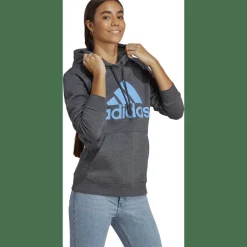 Essentials Big Logo Regular Fleece Hoodie Damen Kapuzensweater