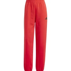Future Icons Small Logo Damen Hose