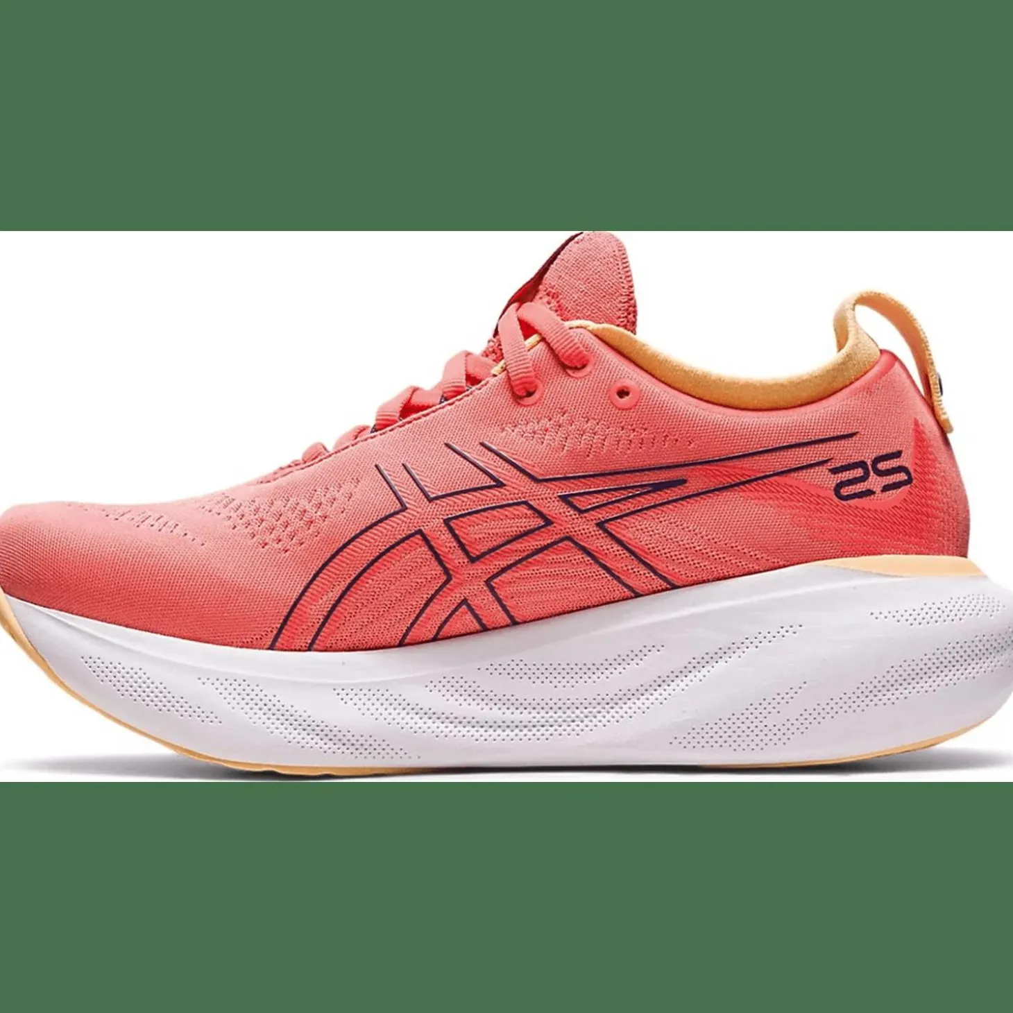 Gel-Nimbus 25 Damen Laufschuhe