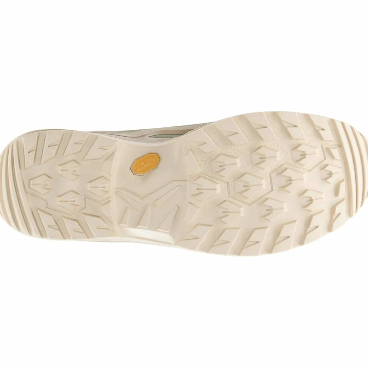 Renegade Evo GTX Mid Damen Multifunktionsschuhe