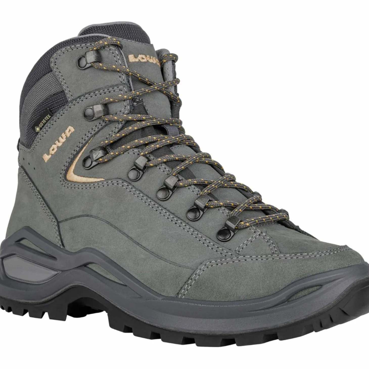 Renegade Evo GTX Mid Damen Multifunktionsschuhe