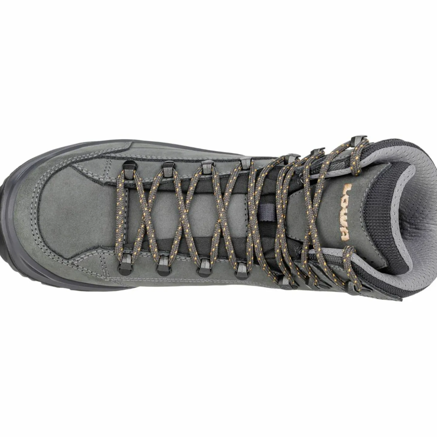 Renegade Evo GTX Mid Damen Multifunktionsschuhe