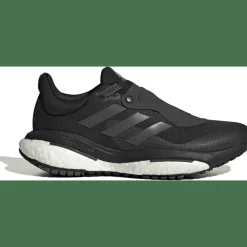Solarglide 5 GORE-TEX Schuh Damen Laufschuhe