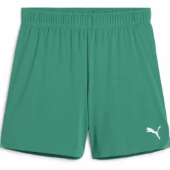 teamGOAL Damen Shorts