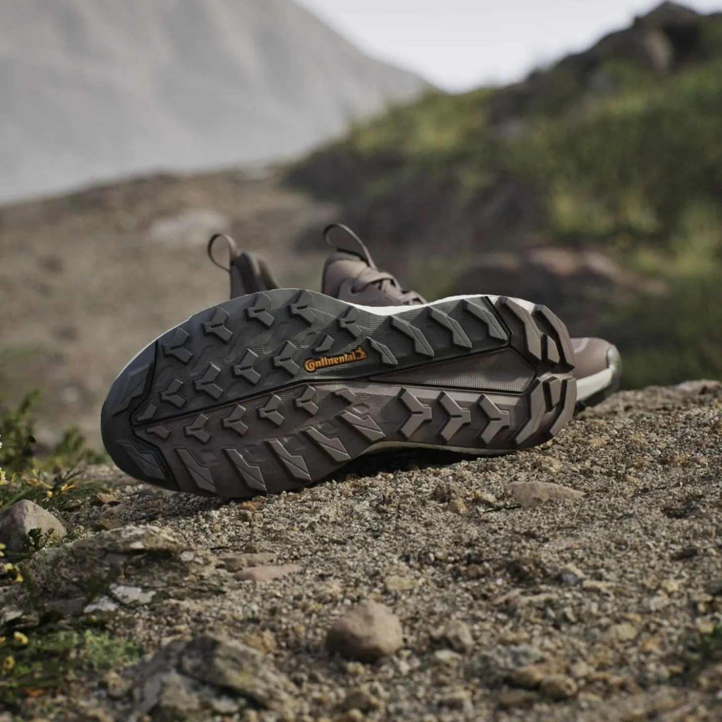 Terrex Free Hiker 2.0 Low Damen Multifunktionsschuhe