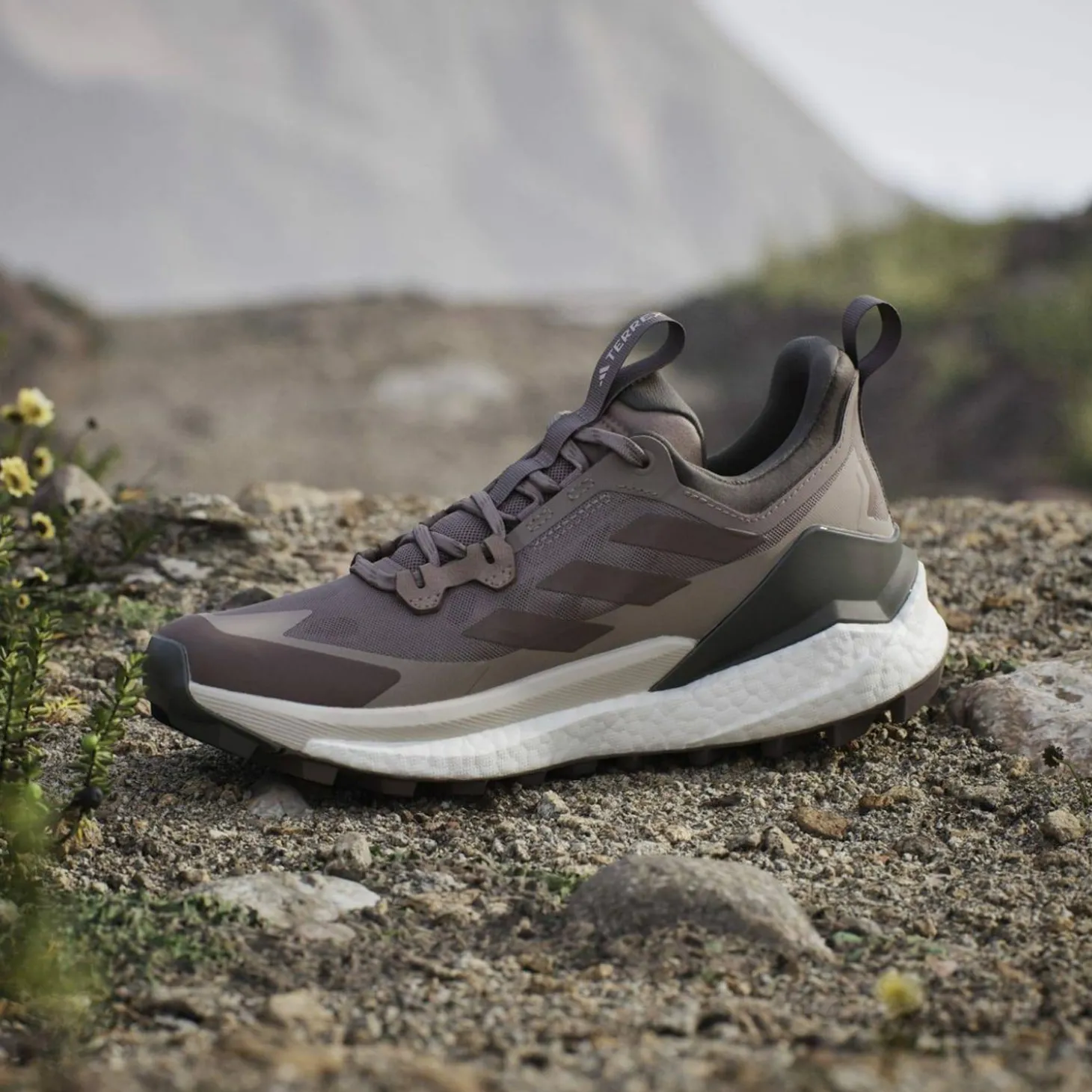 Terrex Free Hiker 2.0 Low Damen Multifunktionsschuhe