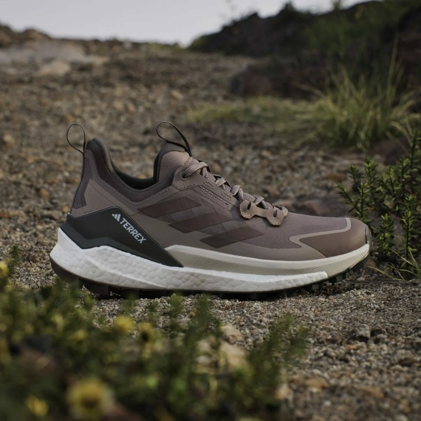 Terrex Free Hiker 2.0 Low Damen Multifunktionsschuhe