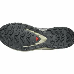 XA Pro 3D V9 GTX Damen Trailrunningschuhe