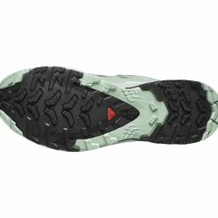 XA Pro 3D V9 GTX Damen Trailrunningschuhe