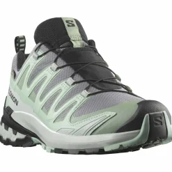 XA Pro 3D V9 GTX Damen Trailrunningschuhe