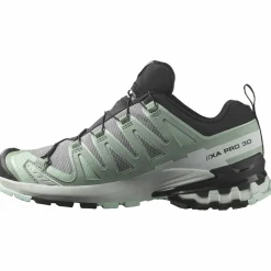 XA Pro 3D V9 GTX Damen Trailrunningschuhe